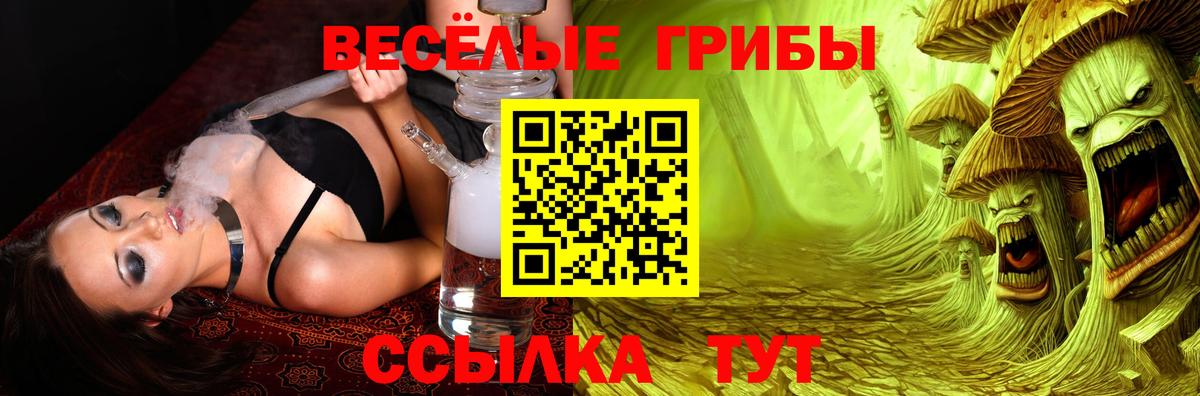 Псилоцибиновые грибы Psilocybe Югорск